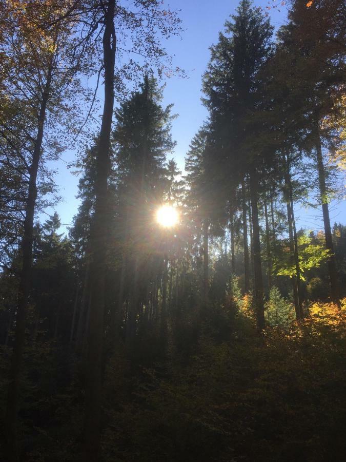 Familie Hotel Kameleon Elleringhausen Eksteriør billede